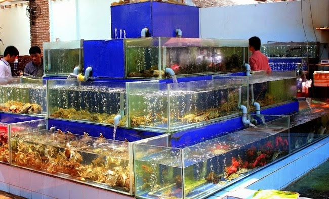 Dịch vụ sửa chữa máy làm lạnh nước hồ hải sản tphcm